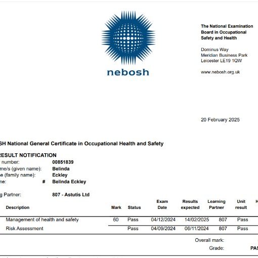 Nebosh - gold standard qual Nebosh occupational H&S certificate